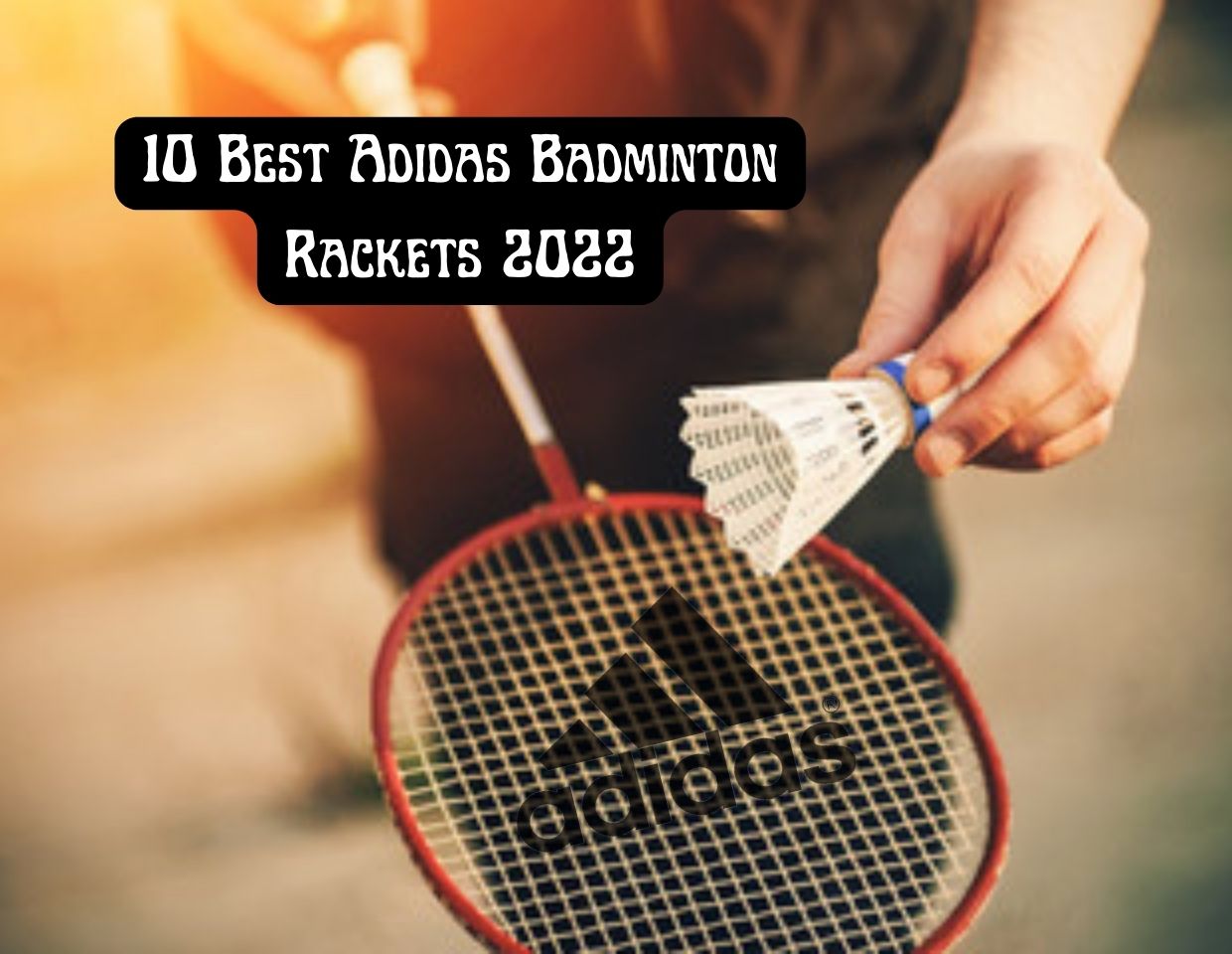 10 Best Adidas Badminton Rackets