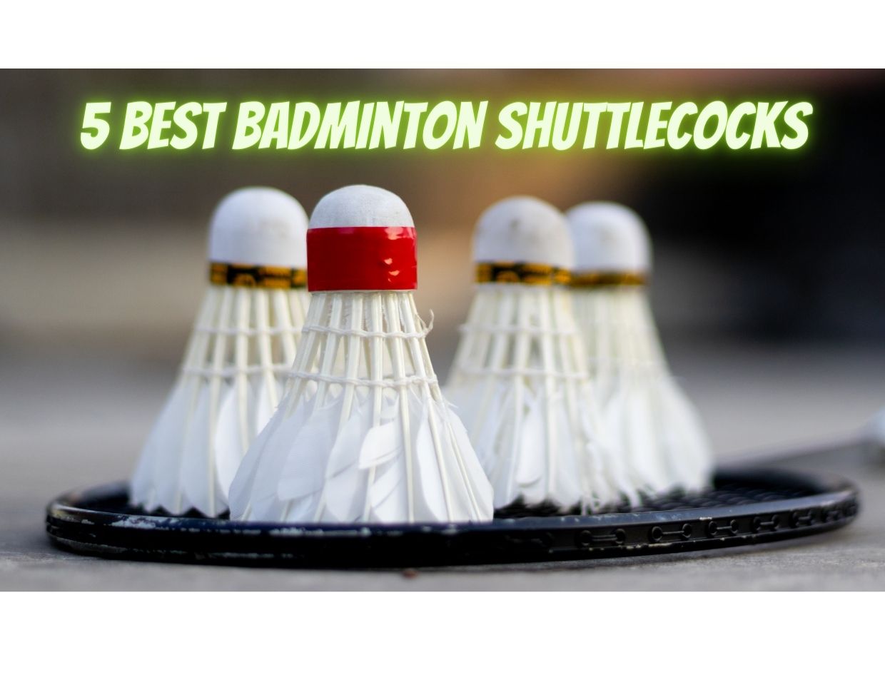 Best Badminton Shuttlecock